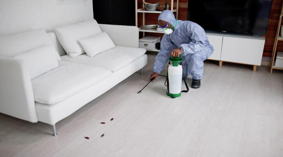 Why choose RPC Glendale for restaurant pest control in Glendale